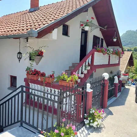 Jelena Višegrad