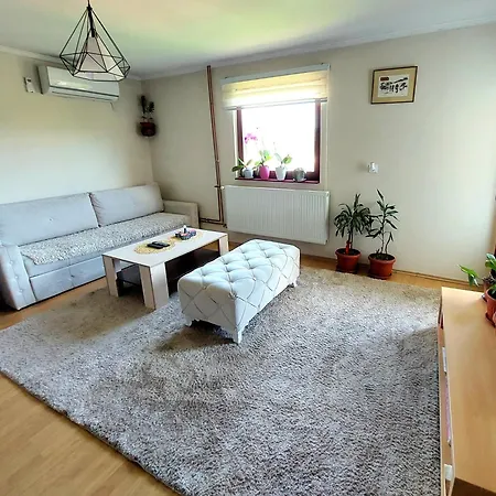 Guest house Jelena 3*